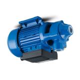 Toko SQP432-75-32-14-86AAA-18 Triple Vane Pump